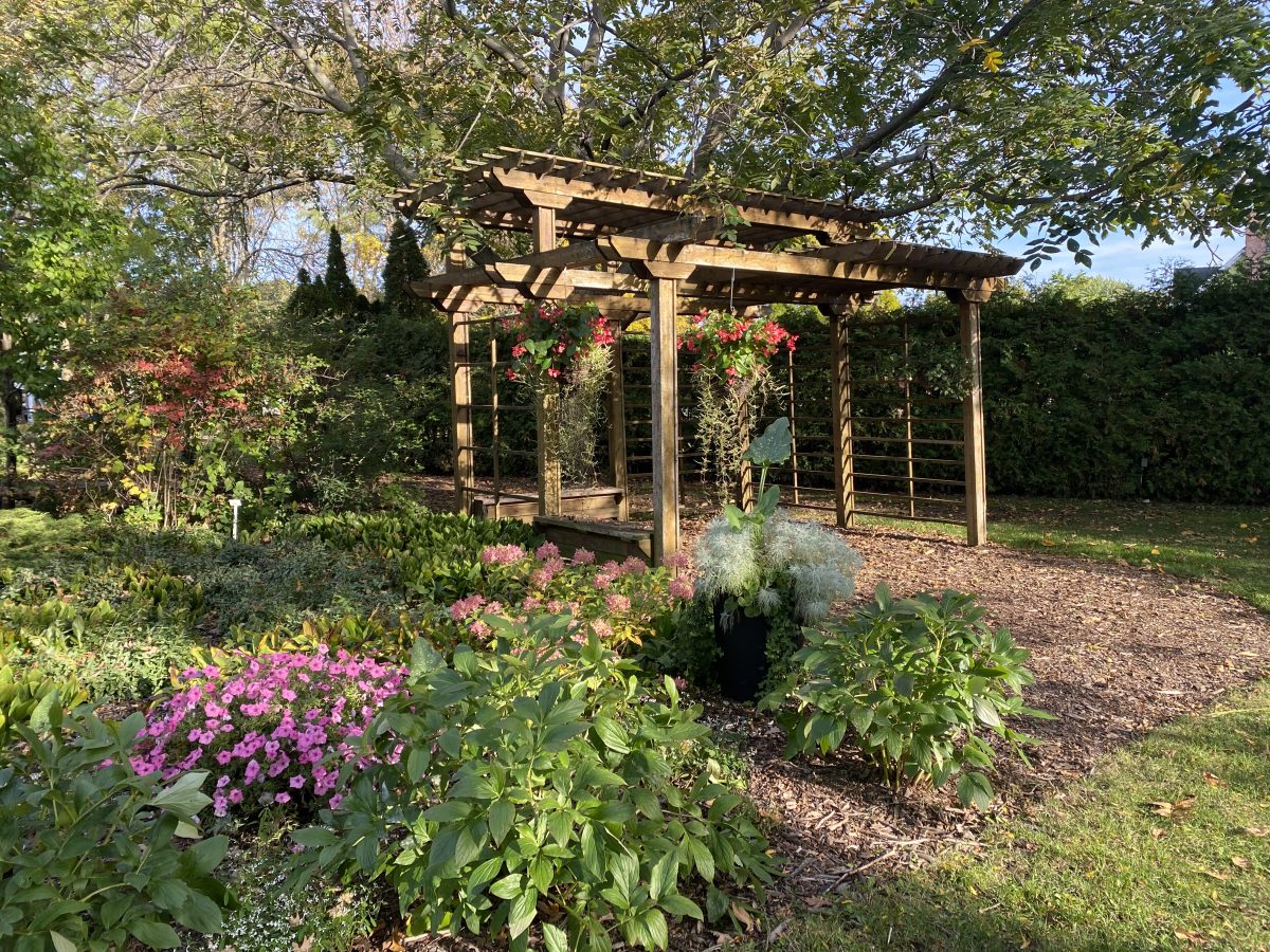 Jardin Massif Blanc